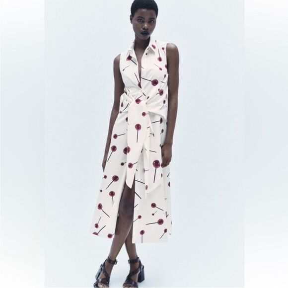 Zara Lollipop Printed Poplin Shirtdress ZW Collection 2024 XS NWT - Picture 1 of 16